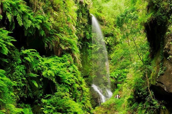 7 lugares imperdibles para conocer mejor  las Islas Canarias